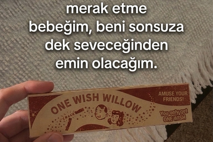 Tek Dilek Hakkı