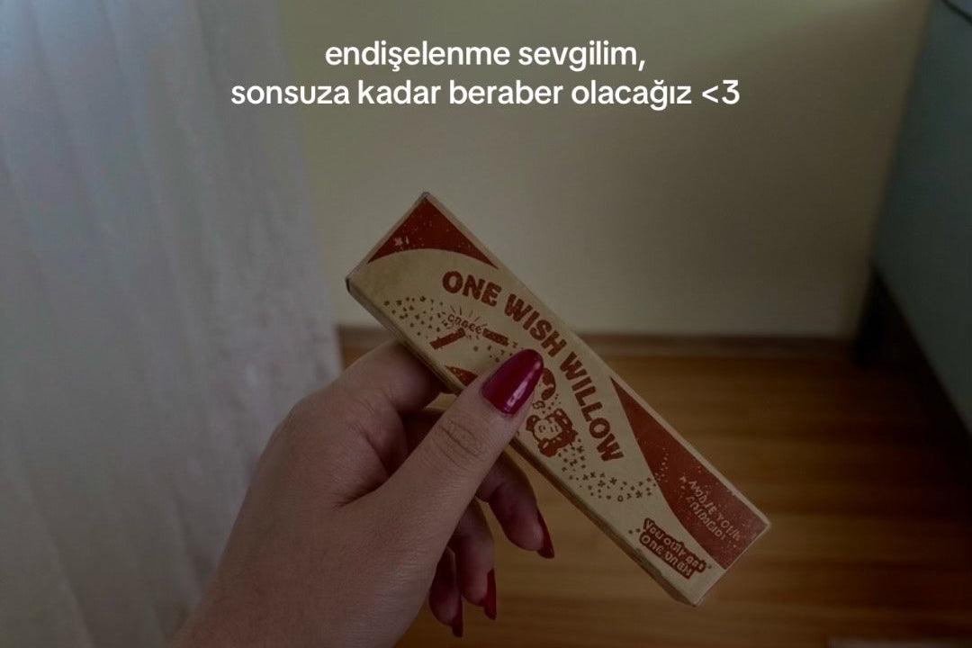 Tek Dilek Hakkı